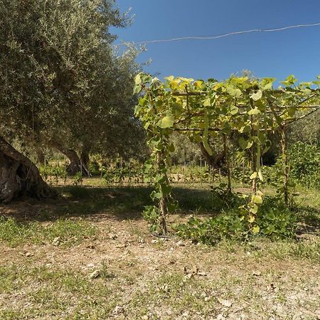 Villa Mendolia Ai Caracoli Termini Imerese Exterior foto